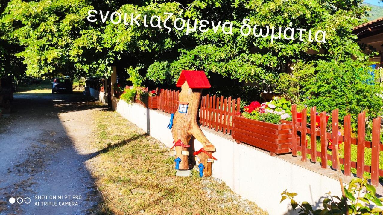 Βίλα Κατερίνα - Villa Katerina Kókkinon Nerón Extérieur photo