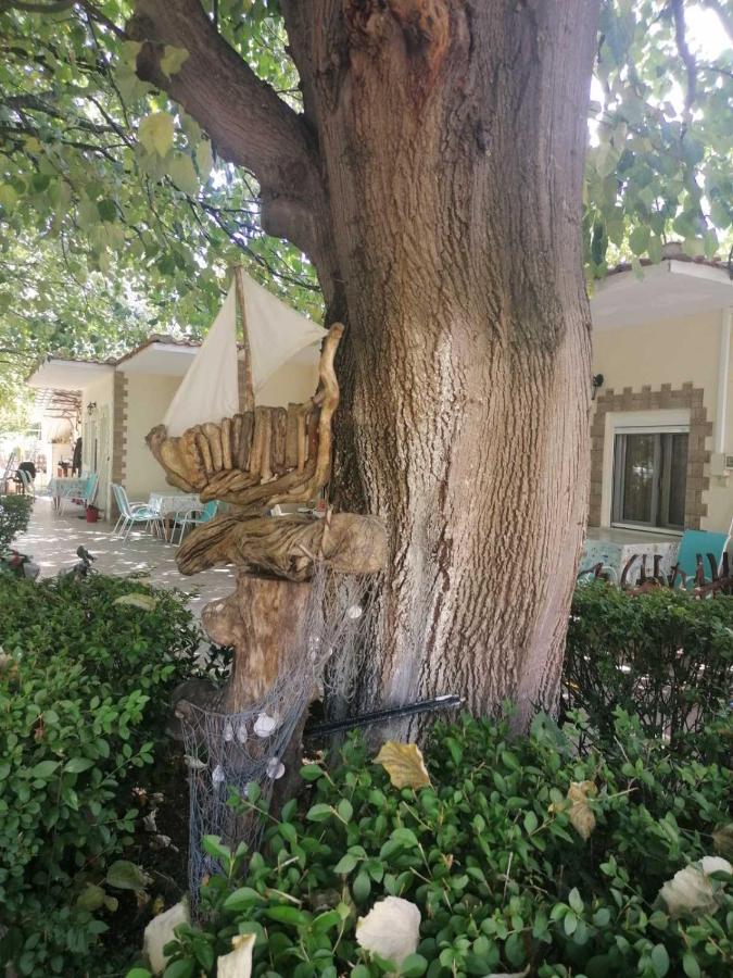 Βίλα Κατερίνα - Villa Katerina Kókkinon Nerón Extérieur photo